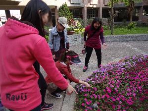 環境教育專業社群~認識校園植物101.12.26，開新視窗